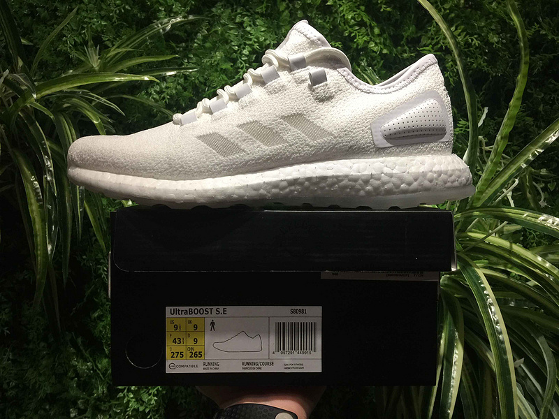 Adidas Pure Boost Running X Sneakerboy X Wish S80981